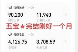 新手必看！以番茄小说为例，让你看懂整个写小说流程图片