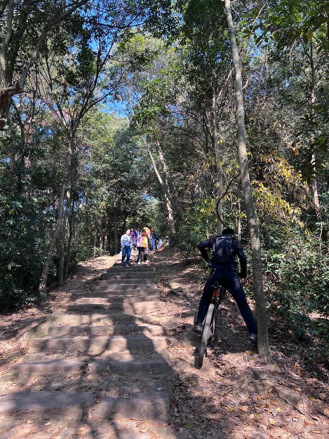 上天竺到云栖竹径，徒步9公里，感受一路秋意。