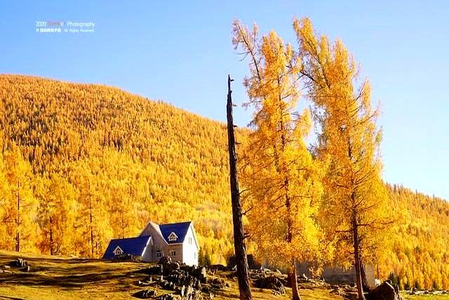 抑郁？每天走路三万步	。