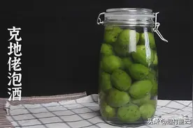 克地老：云南深山老林里的野果子，直接吃又苦又涩，泡酒却成美味图片