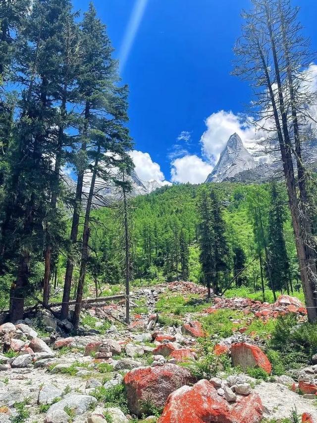 自驾游5年，为何总在8-9月出行？这5大旅游线路，人间值得！_1