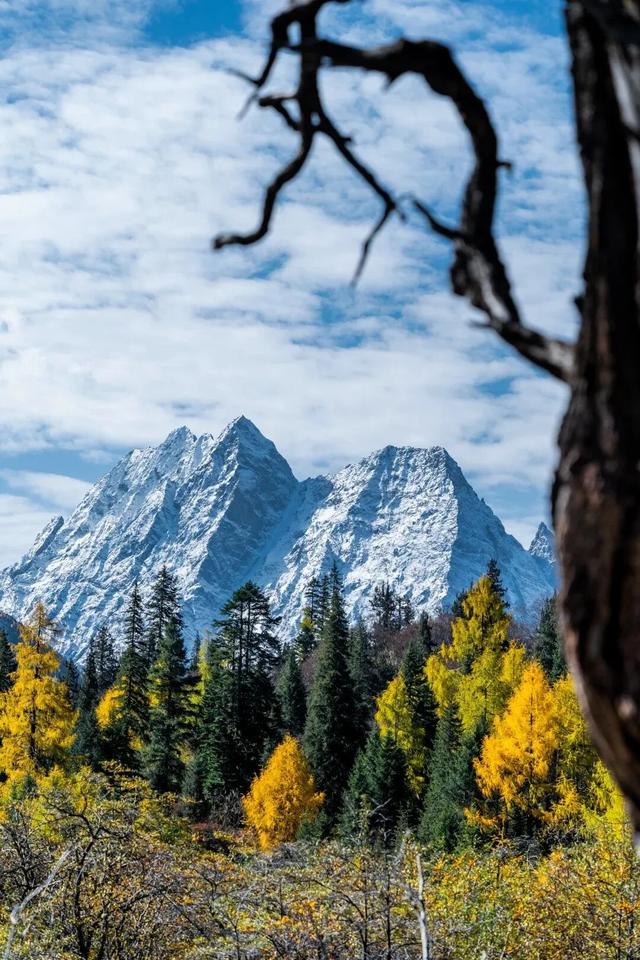 秋天的四姑娘山，我要给你五颗星！