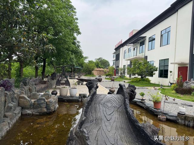 璧善堂中医馆后花园：藏在草木间的中医温情与文化密码