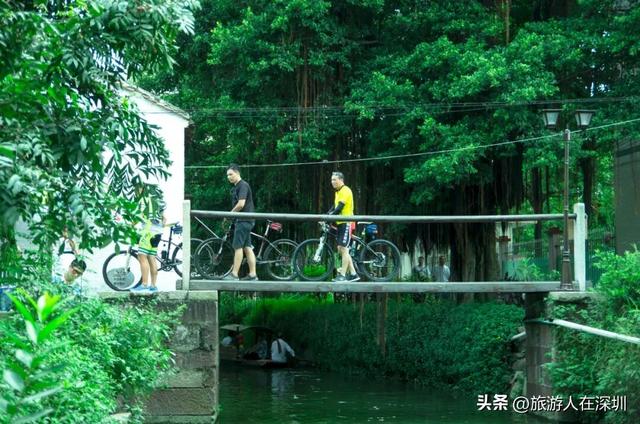 顺德逢简水乡游玩攻略，穿越百年水乡古村，邂逅岭南的诗意时光