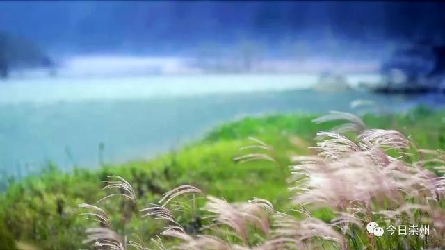 最快30分钟!河滩玩水、捉鱼虾、划竹筏…没有门票!