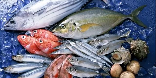 拒绝道歉！日本宣布最后态度，绝不收回挑衅，接受中方一切反击？