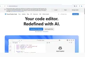 DeepSeek+VsCode，做个人AI编程助手图片
