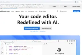 DeepSeek+VsCode，做个人AI编程助手图片