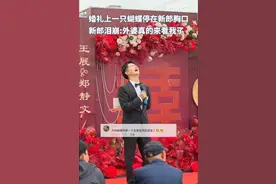 泪目了！蝴蝶停在新郎胸口那一刻心震了 网友：眼泪根本止不住的流图片
