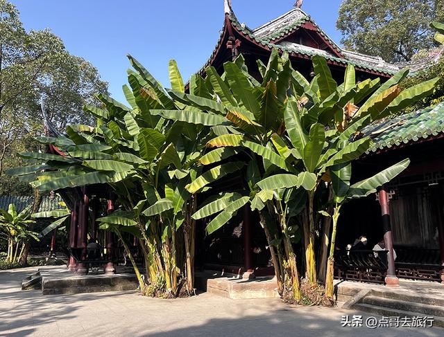 成都被私藏的彩林公园，流金溢彩，充满老城烟火气，地铁公交直达