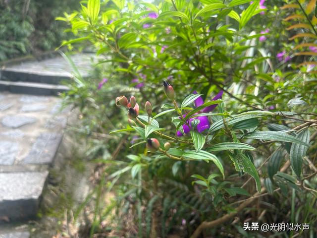 深圳游记:梅沙尖和云海广场的山与海