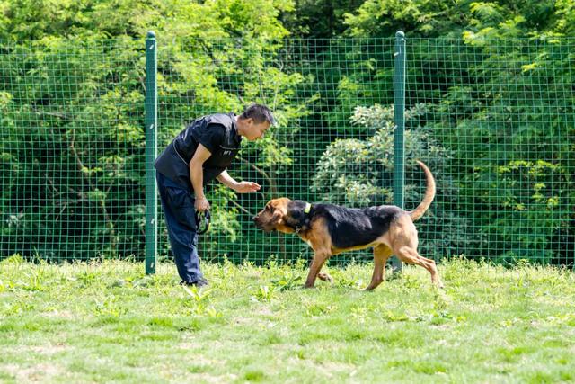 哈瑞，闻着味儿就来了！