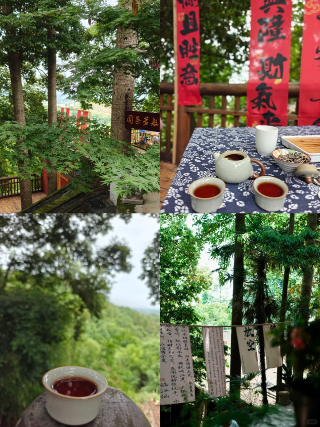 成都1h｜小众免费值得N刷的亲子徒步路线，开始捡秋啦！