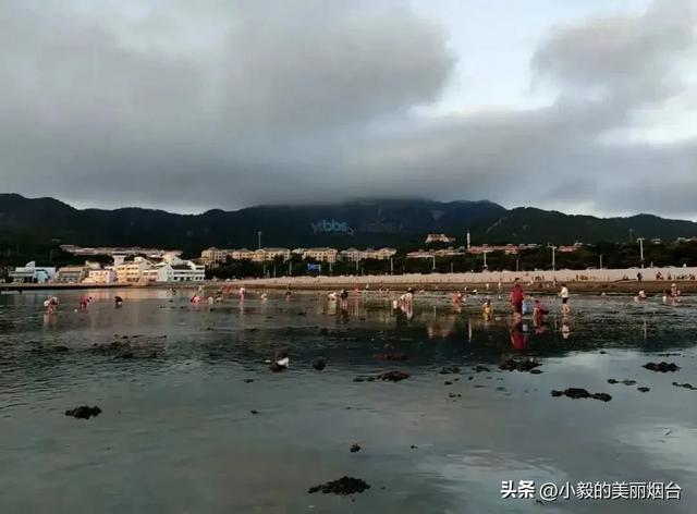 事关每一个烟台人!近期已开启全面整治!