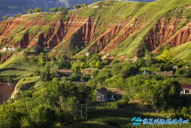 东乡大地的浪漫情书——“羊肉卷”