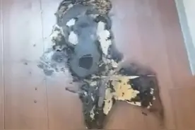 男子称在日本旅游时罗马仕充电宝突然爆炸，“地板被烧烂、屋顶被熏黑”，事后向民宿老板赔偿8000元图片