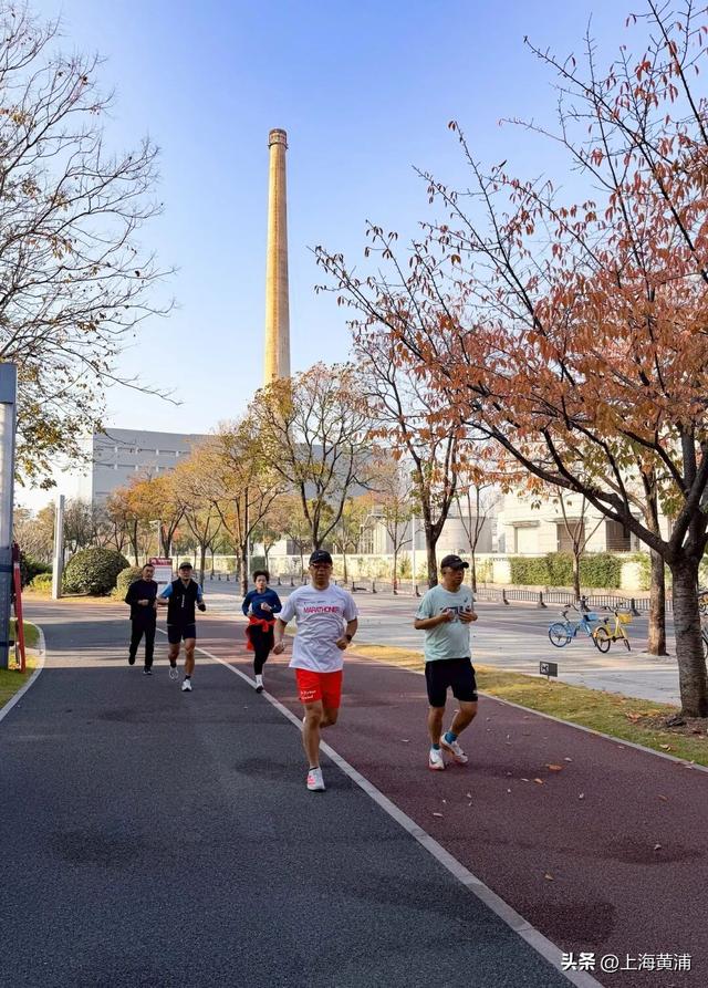 最美的季节！一起来静谧斑斓的黄浦滨江晨跑吧！