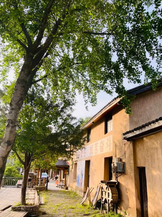 上海周边藏着7个清凉古村落，夏日均温二十多度，
