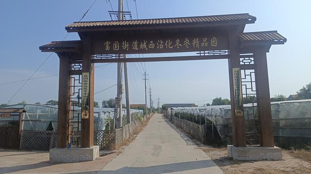 “‘枣’想遇见你”滨州“枣”味采摘路线 | 沾化冬枣、苹果、葡萄……来滨州，为你的假期“加buff”