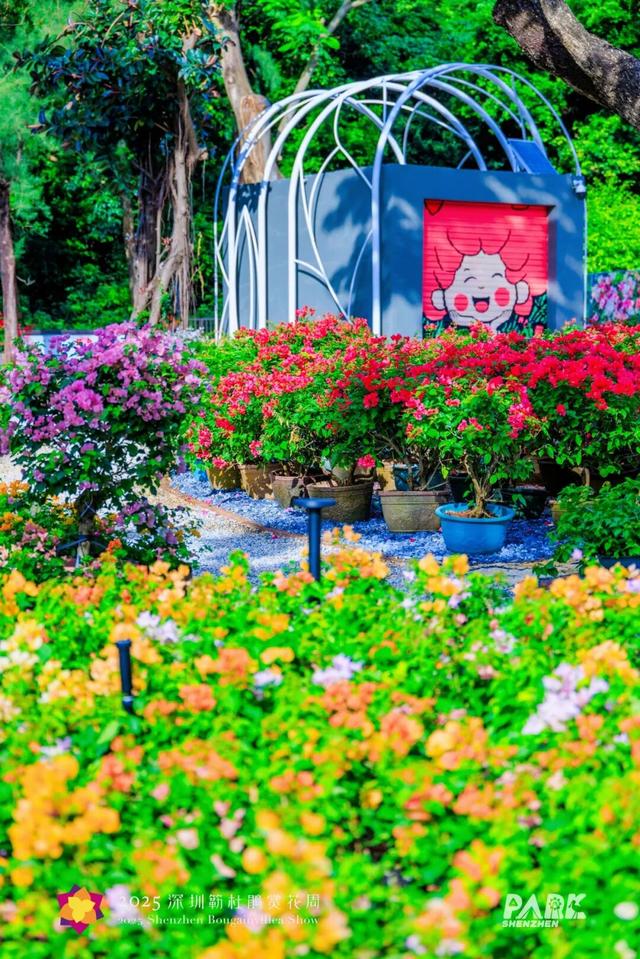 挤爆了！今天莲花山都是人人人，网友：感觉全深圳都来了！