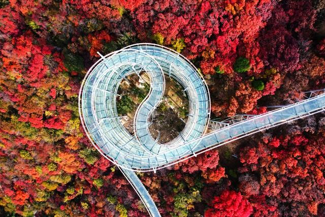 淄博最美打卡地TOP5！除了烧烤，这些神仙秘境藏不住了