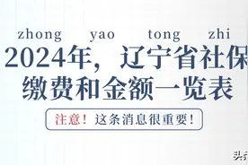 辽宁2024年企业职工和灵活就业人员：社保缴费标准一览！建议收藏图片