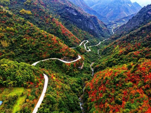 徽县大河店镇：层林尽染处 藏着最治愈的秋日时光