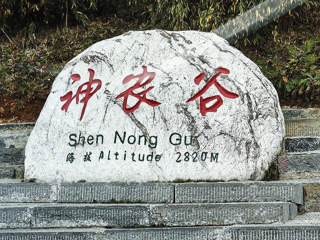 2024深秋四川行19 神农架风景区2 华中屋脊的五彩秘境