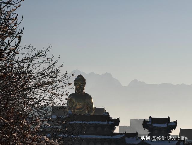 新疆乌鲁木齐红光山大佛寺