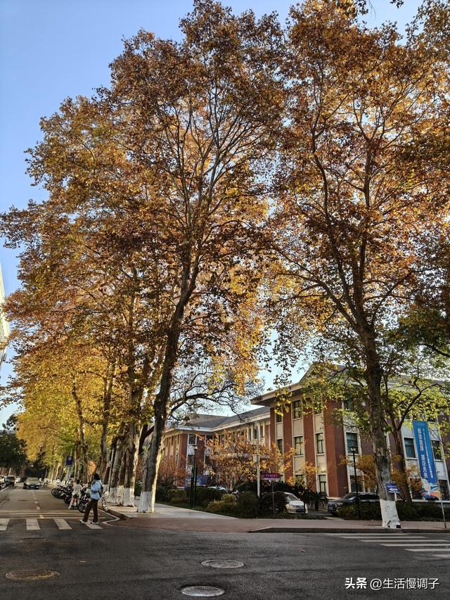 武汉十二月——一月一帧藏走过2025的四季光影