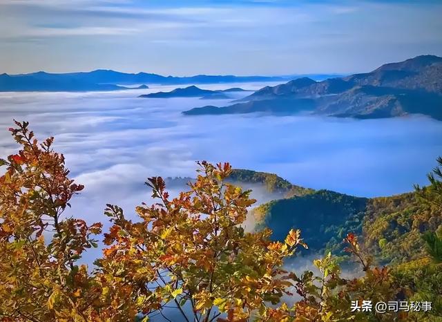 小兴安岭藏宝地！南岔冰雪狂欢、红色记忆、北药盛宴