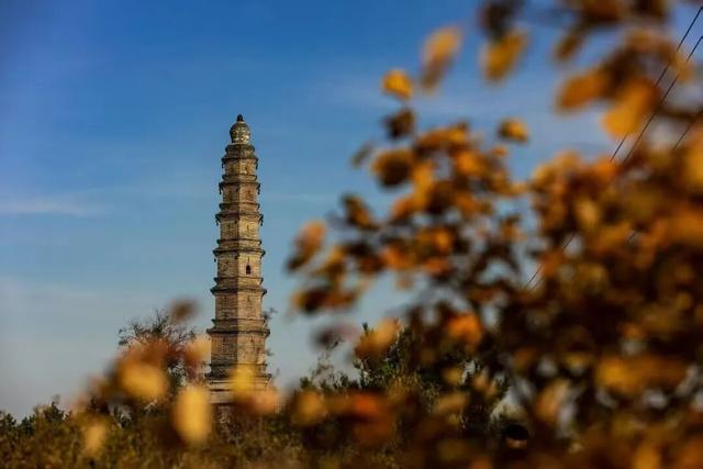 别再刷崛围山红叶图了！亲自去触摸红林间的千年时光，才够劲