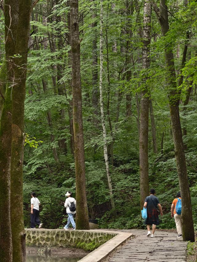龙湾群火山口湖寻奇：在吊水壶与西夹荒邂逅地质与人文的诗篇