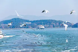 期待！湖州⇌无锡太湖航线图片