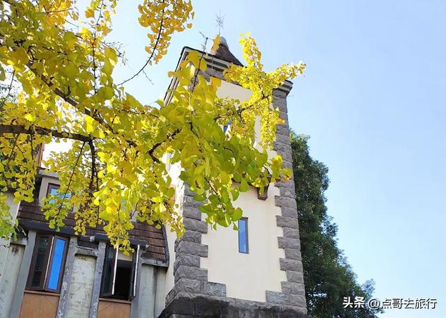 成都超级低调奢华的公园，色彩斑斓，被严重低估，公交车直达！