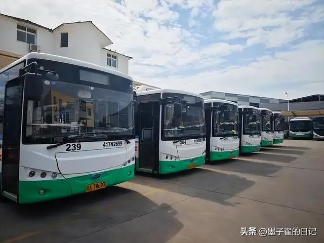 一年亏损近四千万，全国陷“关停潮”，昔日的金饭碗如今惨遭抛弃