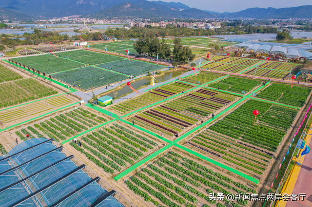 上新！6条旅游线路带您玩转翔安→