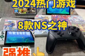 熬夜爆肝8款switch 之神强推图片