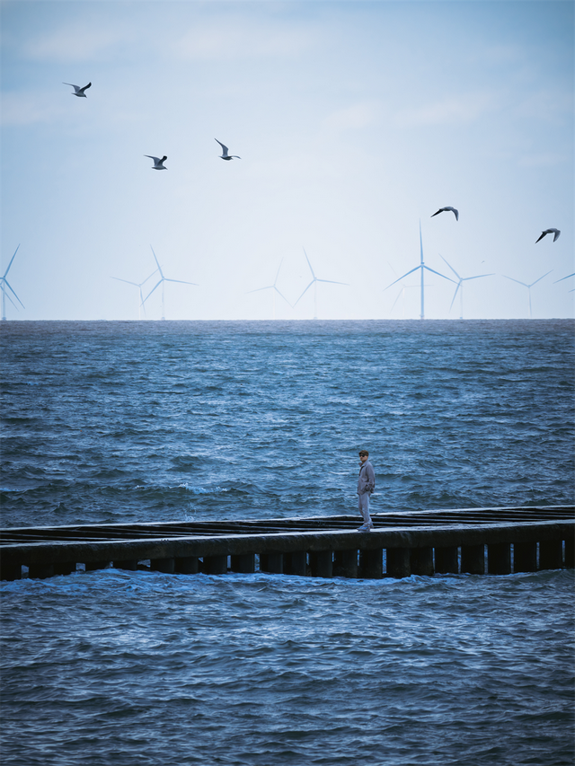 为了这些照片，我专门来了一趟东营！