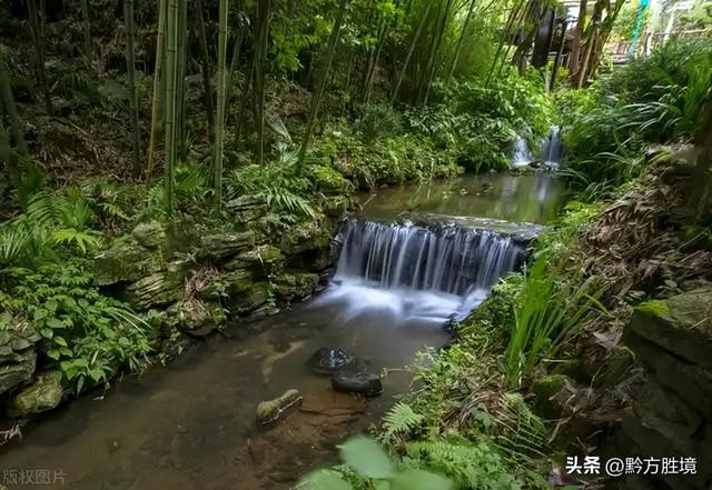 六盘水有一个景区就这样荒废了，坐拥3万亩竹海，堪称避暑胜地