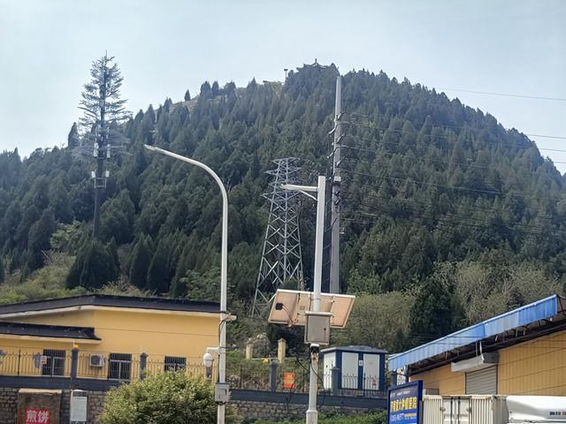 我的双城记 | 去爬山，听说山下有一棵前韩国总统栽下的树