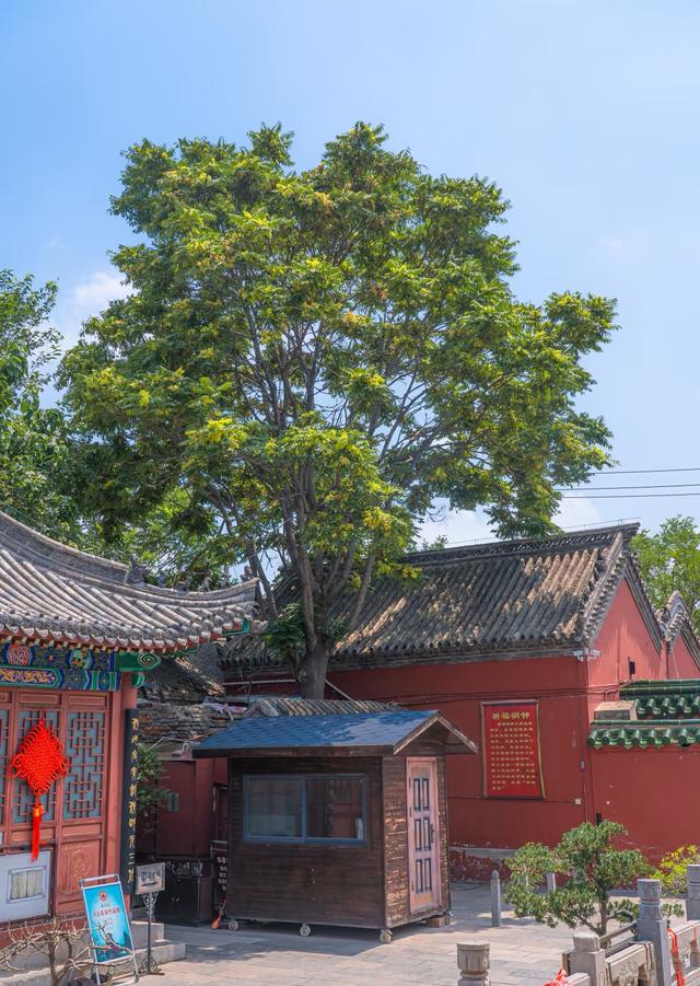 我是北京人，在河南开封逛了几天，憋了5点感受不吐不快。