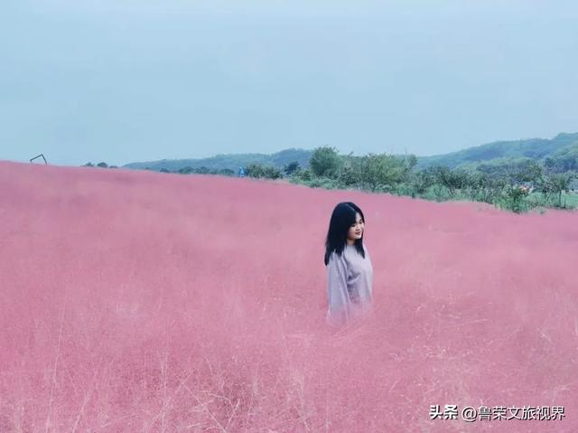 镇江的秋日才是真绝色，三山染彩、古街流韵，连空气都带醋香