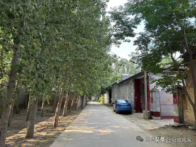 冠县乡韵·辛集镇丁刘八寨