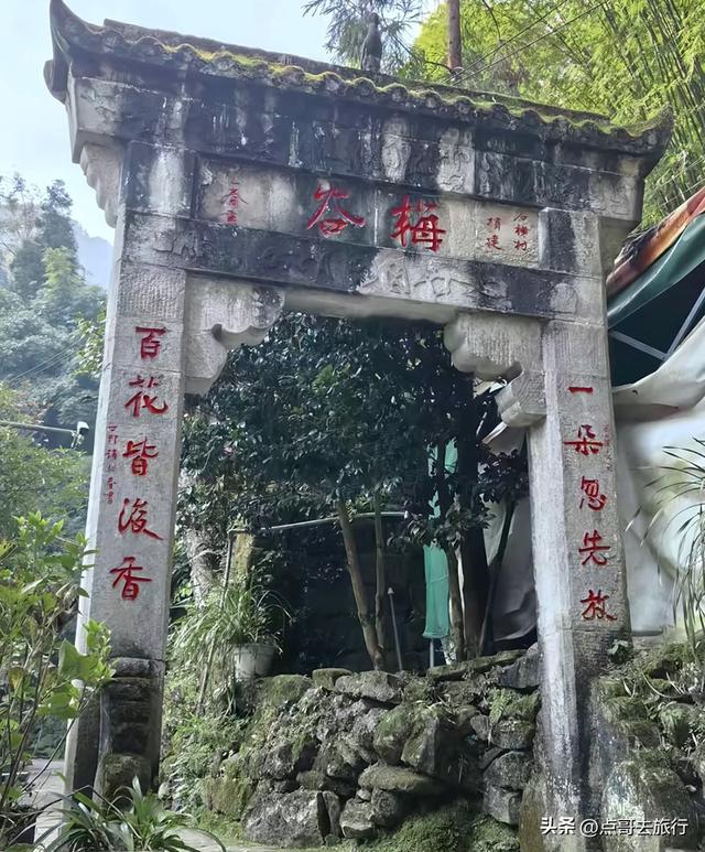 成都最大的山谷梅花开了，被称为蜀中第一赏梅胜地，却少人知道！