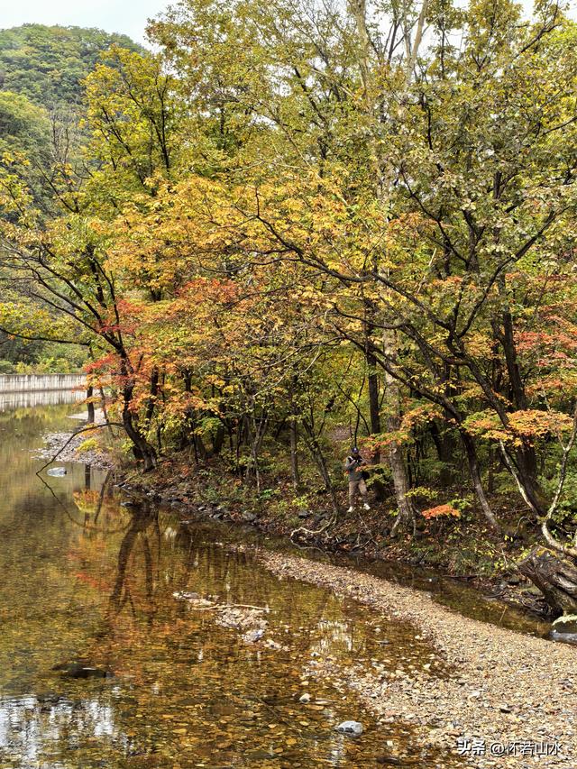 2025辽宁赏秋之旅日记(2)——游览丹东蒲石河森林公园