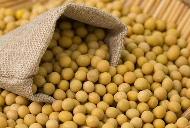 巴西大豆价格暴涨79.9%,中国买家按下暂停键,明年这笔钱还花这吗?