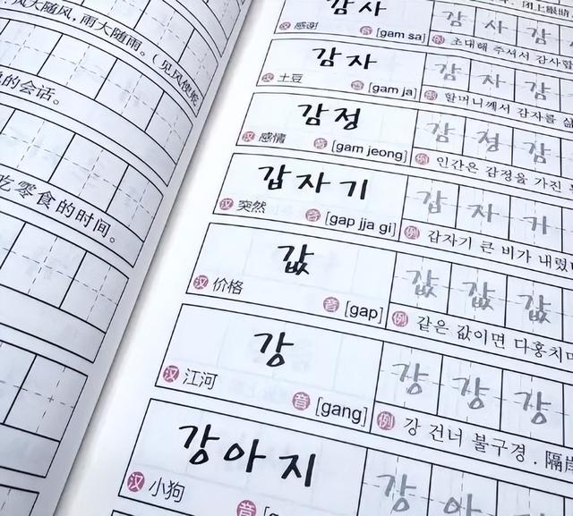 韩国人又破防了！废除汉字几十年后，韩语终于被确诊“中国拼音”
