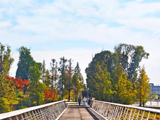 是谁？！打翻了“新区公园”的调色盘