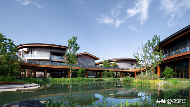 “骑”遇惊喜，快来成都蒲江“醉氧”绿道，开启你的追风之旅！